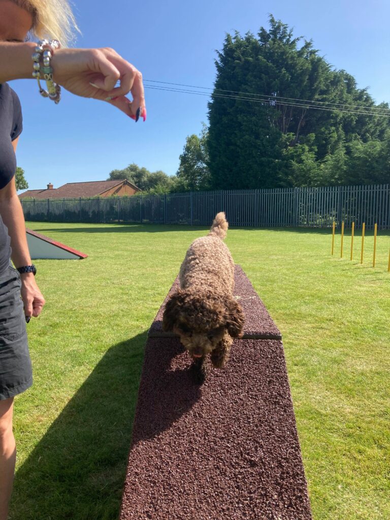 1698 6b8ca06833c4c0cb40a2b4d798198e71 1 768x1024