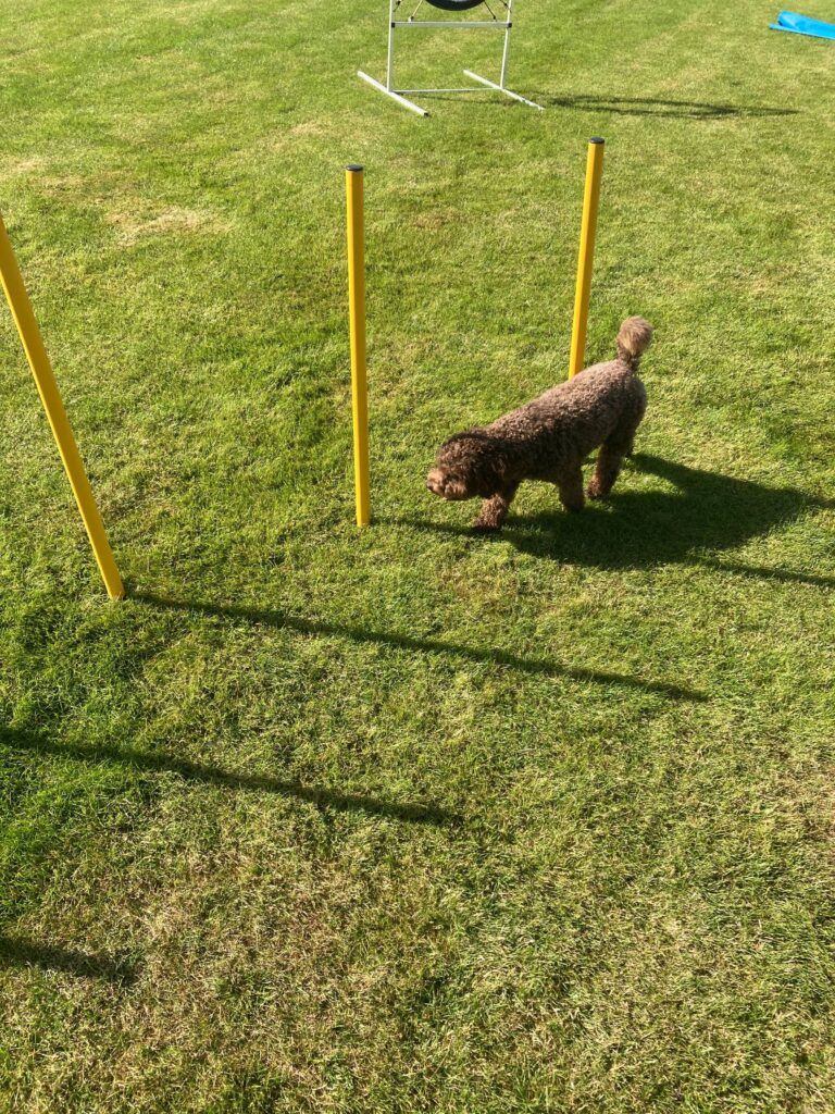 1698 6d33e4a8c36ce1407dd0a9fe45b8585b 1 768x1024