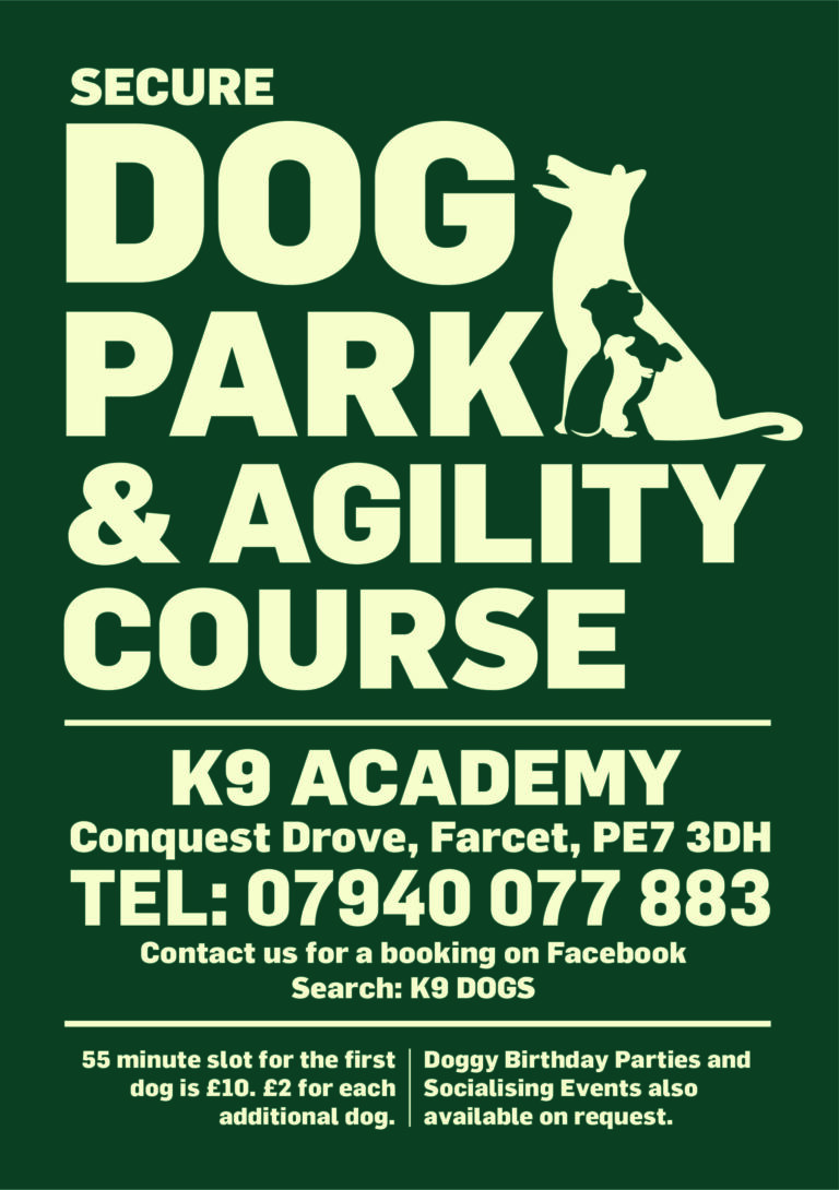 1698 758b9baa09c480afdbd053a139dfe625 1 scaled 768x1090