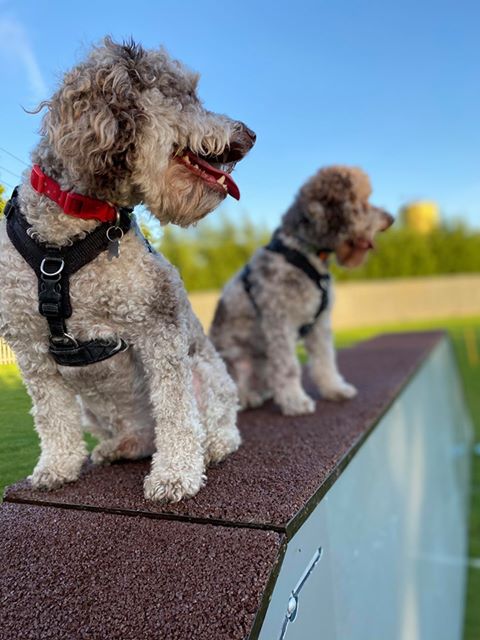 1698 97816d3946a194c93914981ece9a1058 1