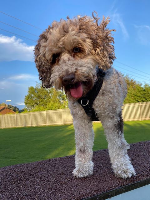 1698 99f76550d06f29556e347313af8b268f 1