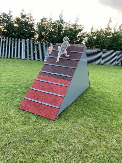 1698 9f843b9e26dc43c186cbf2ca003d51fe 1