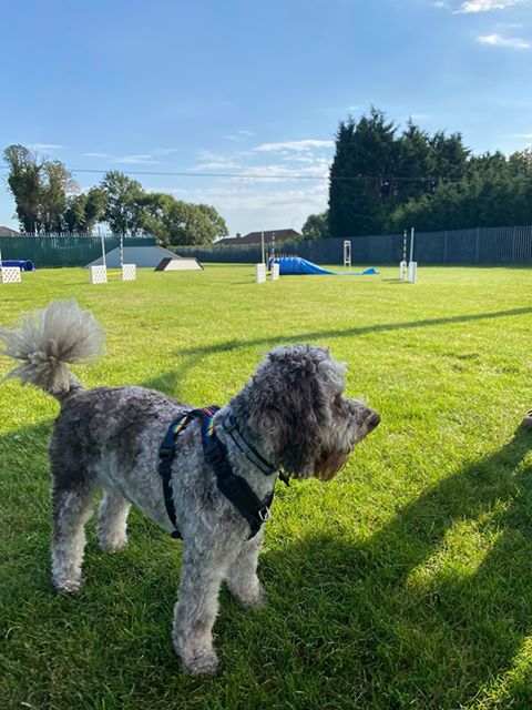 1698 edc2e03c4878c537142c36bfcbdf51e8 1