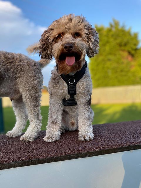 1698 ee9f4d874d825bd26d89783055ec6eaf 1