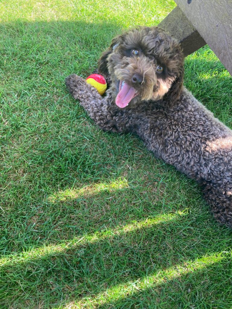 1698 f040f2f478dc7e13736337add5eef519 1 768x1024