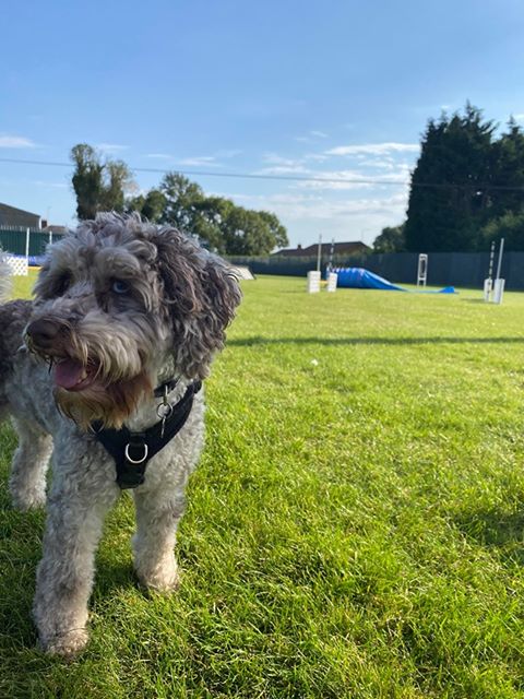 1698 f249af4037036e8974cd3b074a6cd37a 1