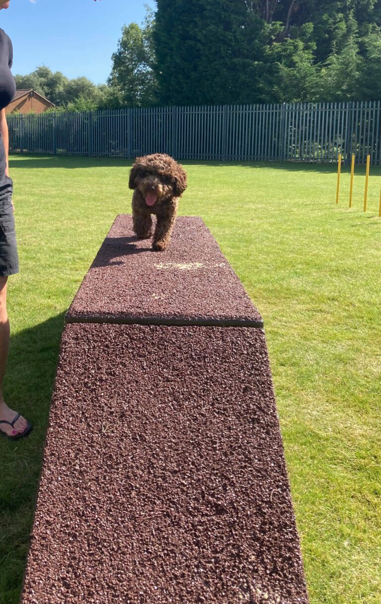 1698 ffc62fbc717c97ace30cef6e330a7c26 1 768x1218