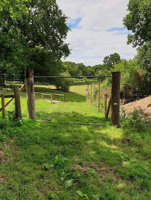 1699 04646f0b17ccf4521d6c8ee17cd520e3 1