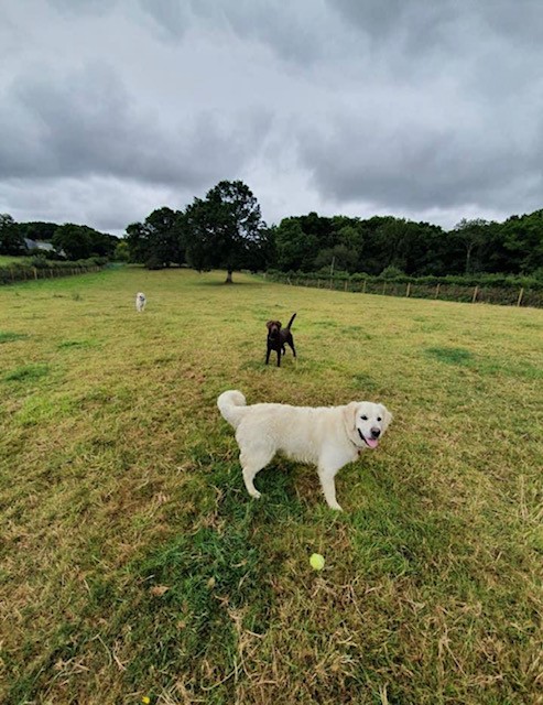 1699 08fe4d8d13f14f5ae5829a2fc5115fec 1