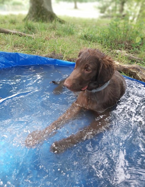 1699 43e03b08e2ded0a9ba03143f0678d0b6 1