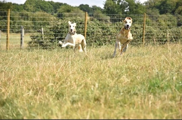 1699 834c96c359bb5736c61397d06c363454 1