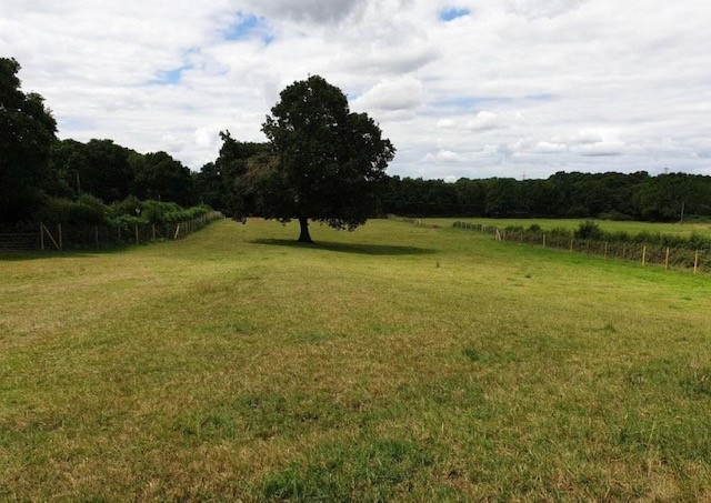 1699 b5522b9958f74d637b1fd2368502fa3c 1