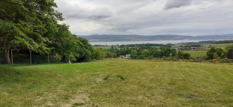 1703 c76382fca2192dd335998e5019945b32 1 768x355