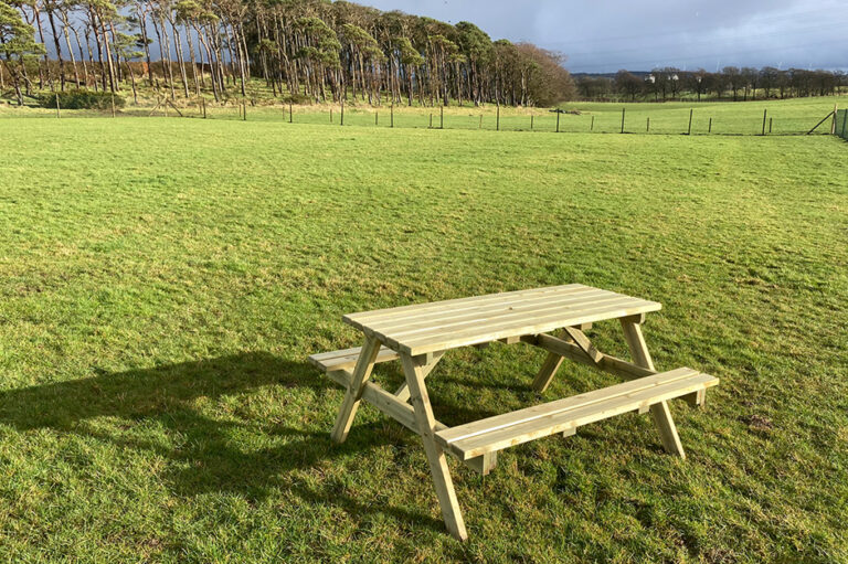 1704 4cda9296a155f2f28a75ed73f12b959e 1 768x511