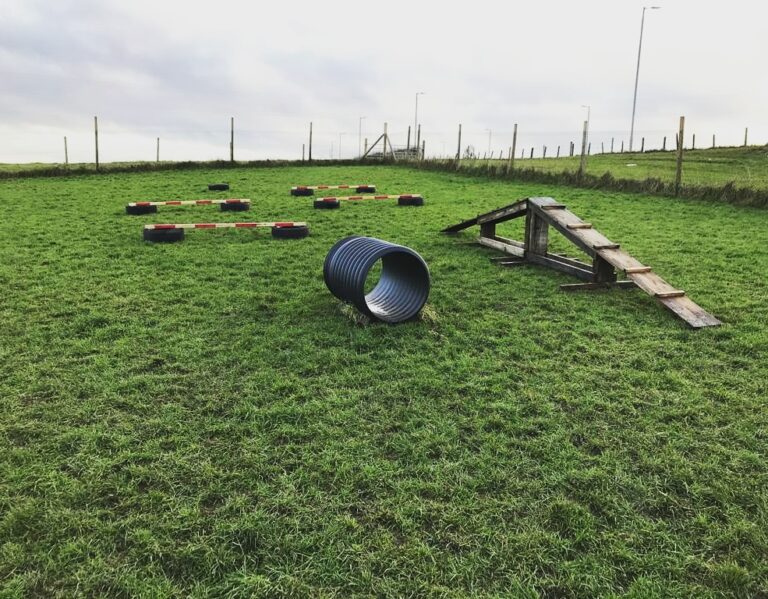 1704 7b440448dbda0f230b4aa046e6e8c83c 1 768x599