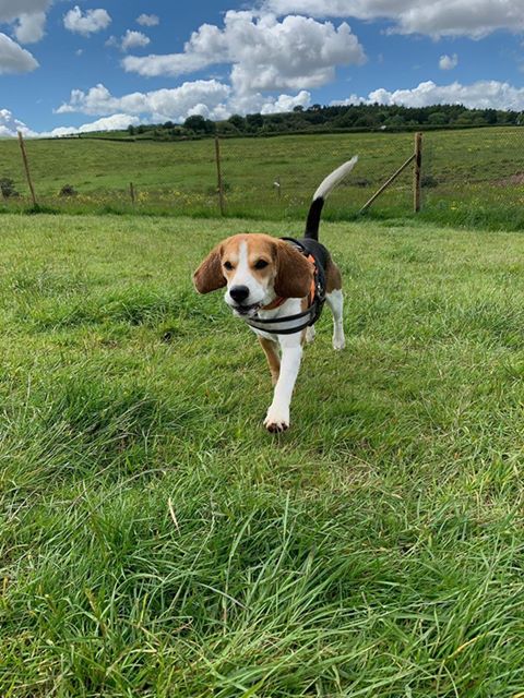 1706 2f5f773e7e432daf00a8ea60d70f4cf2 1