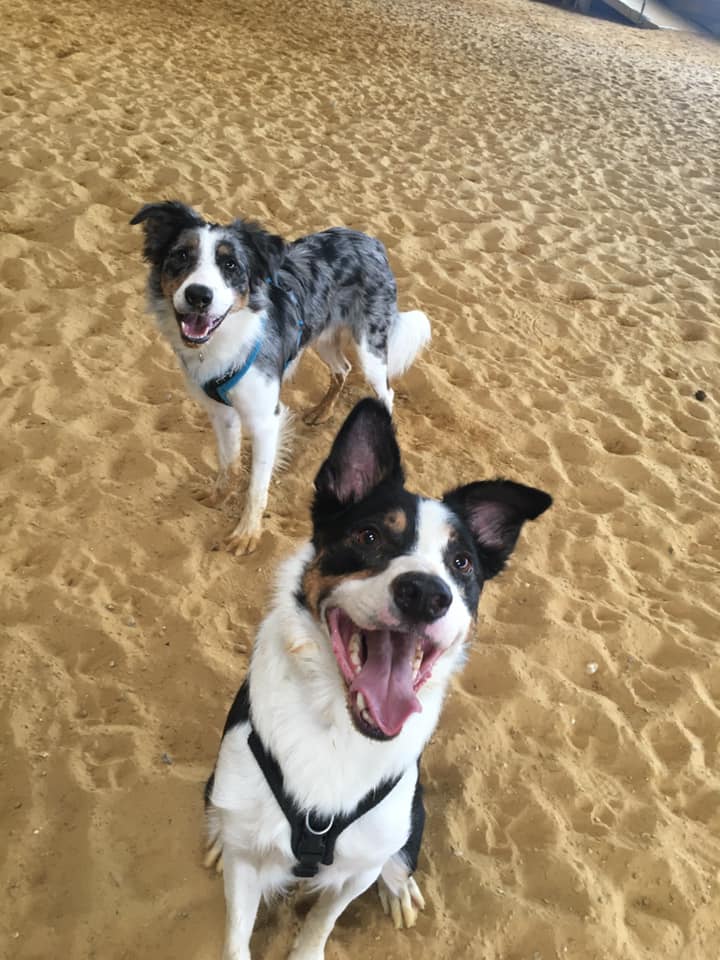 1710 331726e2d56e32f0ac164874ae5bbc33 1