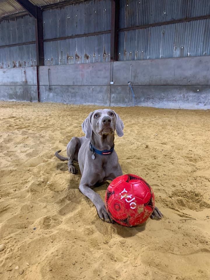 1710 cfe0412ae6e225a1f4da347551d721c0 1