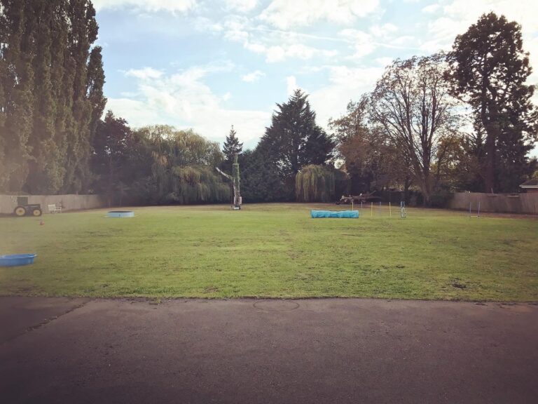 1711 96ca992eee8428ca1f6976418020500d 1 768x576