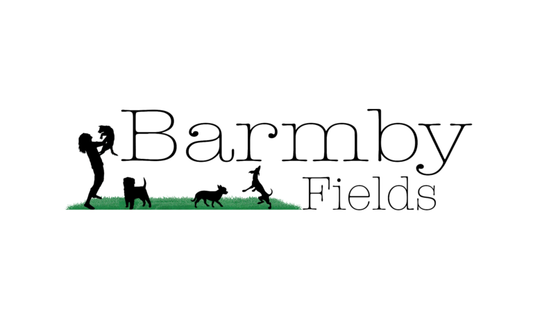 1717 0712bed4479db41fc757174598f6e628 1 768x458