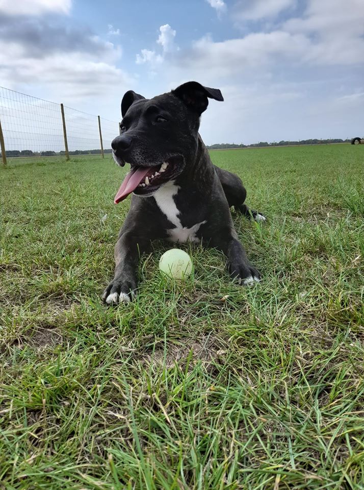 1717 366d2486c08425effcf40440af191896 1