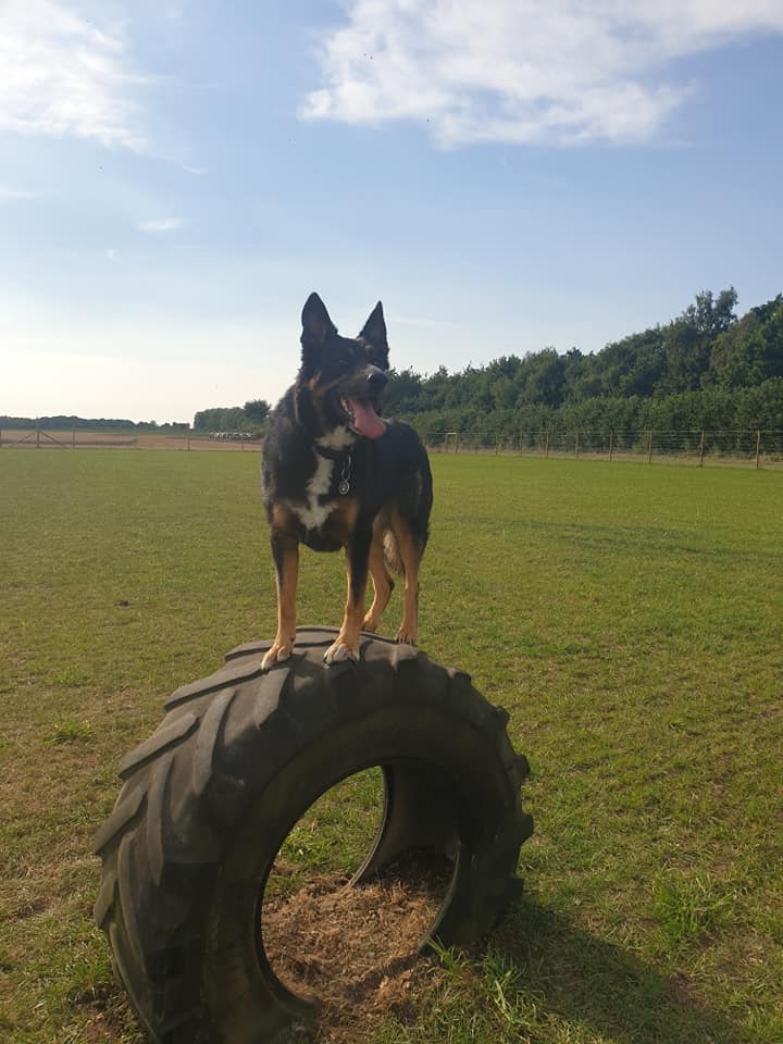 1717 3f107dd60cb41f1006f2da8d468d1035 1