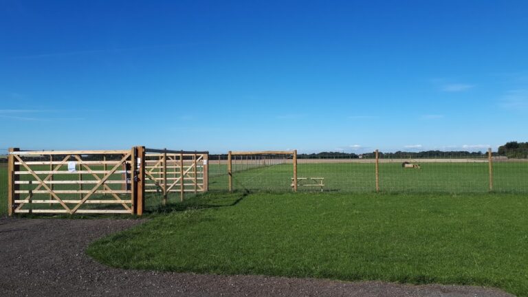 1717 46e12fde591d7ba738b4f7cc84d6a0f4 1 768x432