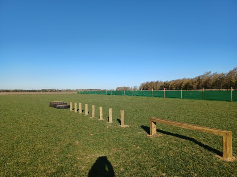 1717 50a1b67779ea34e9741d97d55b95e272 1 768x576