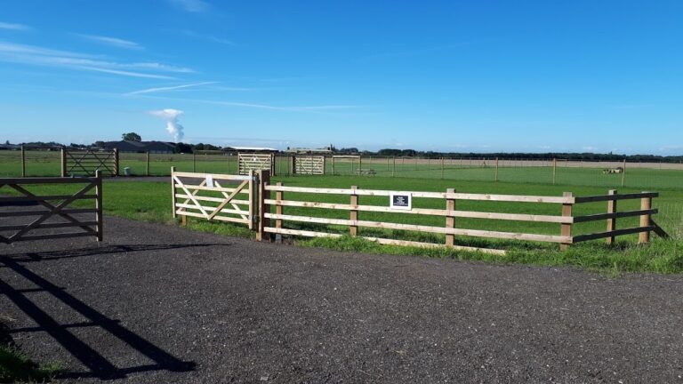 1717 8991c4399a83f8195df73bfa850e1064 1 768x432