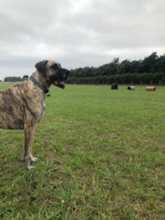 1717 d4422bcf2018c6e91345f9b362778f1b 1