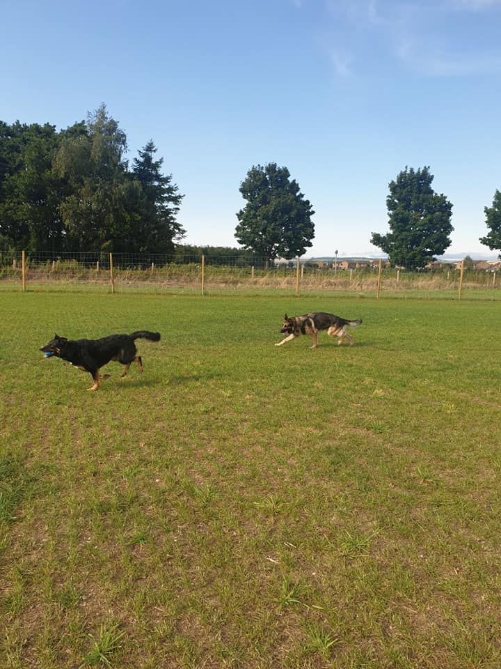 1717 dd5f269b6fe65a4a3660c7e9eddab9c1 1