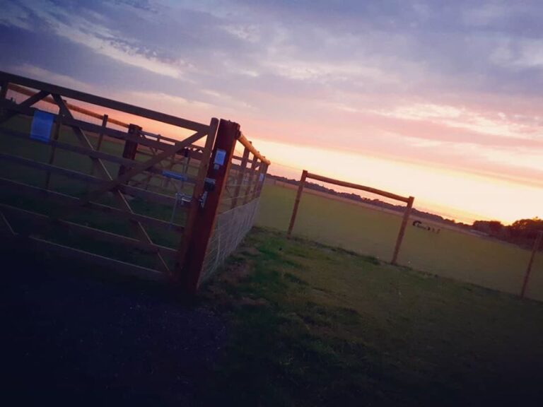 1717 ed556cba2464eba96a23389ee38d57bd 1 768x576