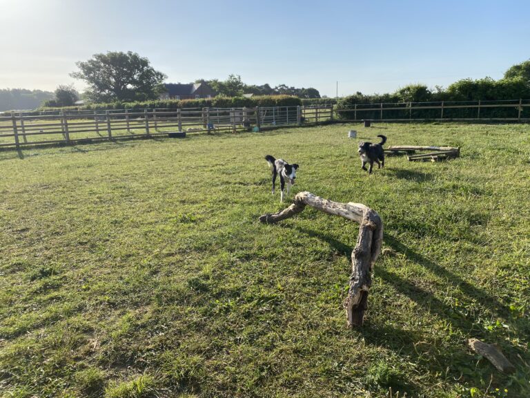 1722 04b9b4a132bed07906524f0a014cb774 1 768x576