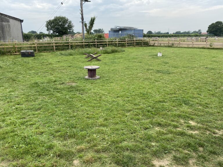 1722 6157f8717f39bafe7149ef2eba30836f 1 768x576