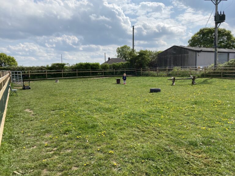 1722 cbf1abb35cccb393da1e2444f690b895 1 scaled 768x576