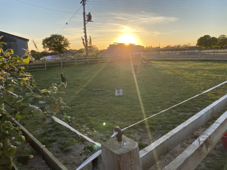 1722 d1e2f240e4d2e566b31c420c76a9818a 1 768x576