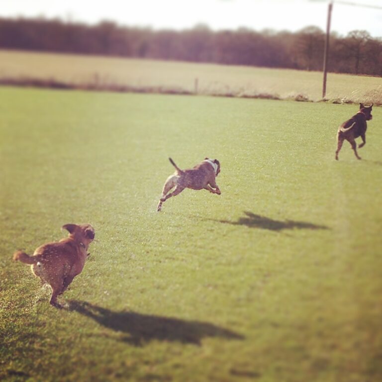 1723 e53c221da48241ea6cc717b25bfbbe04 1 768x768