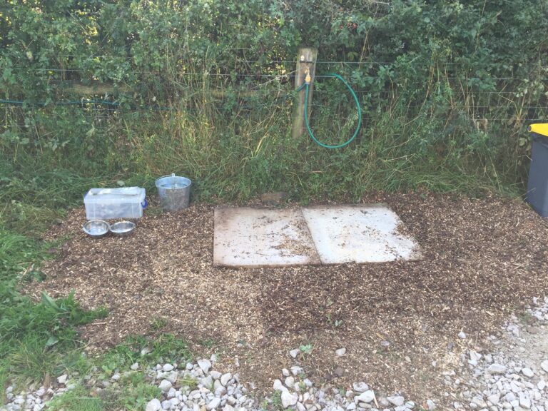 1729 3f0543b62fda28a6cf774ad8e810a078 1 768x576