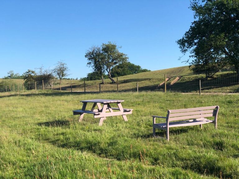 1729 a2f263e8eb08d679765cd091e278aeaa 1 768x576