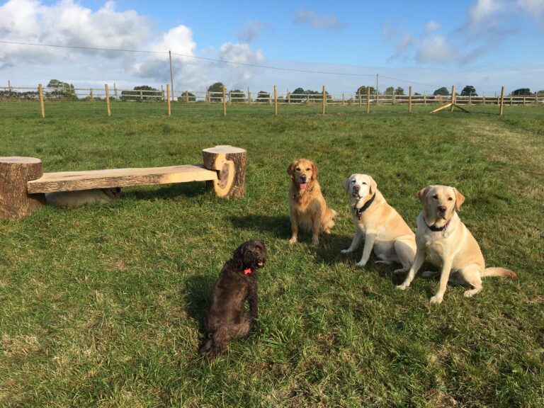 1732 781ee548278db97558ca323ac201a982 1 768x576