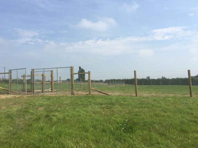 1732 e46d6f325b29a75377dcf5aa16e5c553 1 scaled 768x576