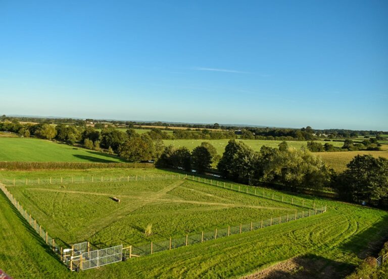 1732 f537beafb9da9a7de4276b65d15dc8f2 1 768x553