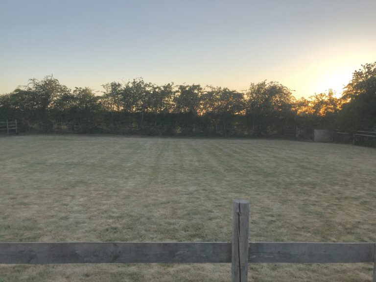 1736 26db2d8d31f1707b17c513078bfe2164 1 768x576