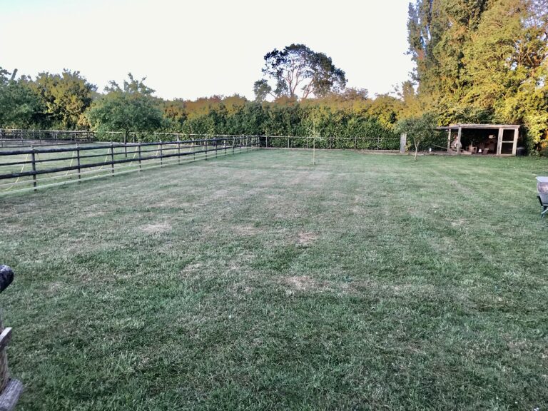 1736 773d447e01134b1a963734013de24593 1 768x576