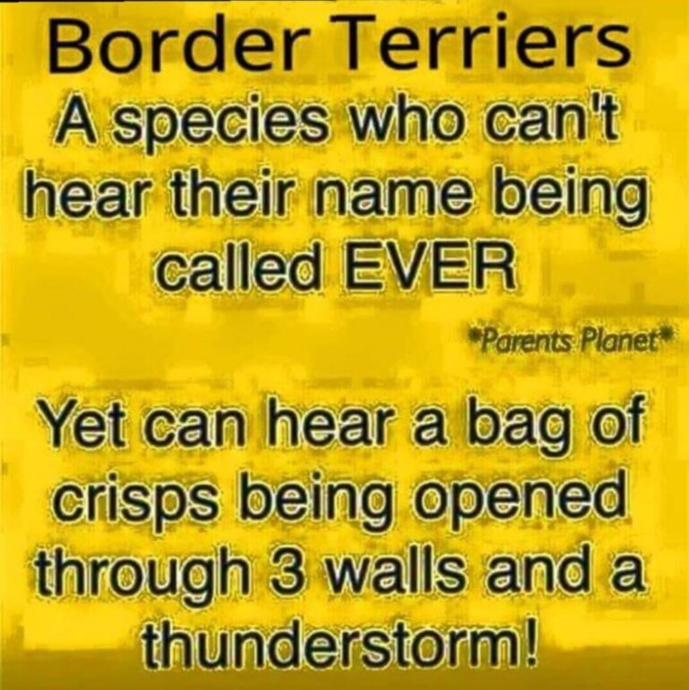 1736 98dc7953f6ee39c650f605d72e06c005 1 768x769