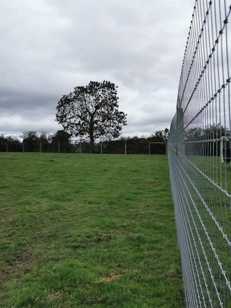 1737 0fcf1d95297a8ec24d43115d96a92bcb 1 768x1024