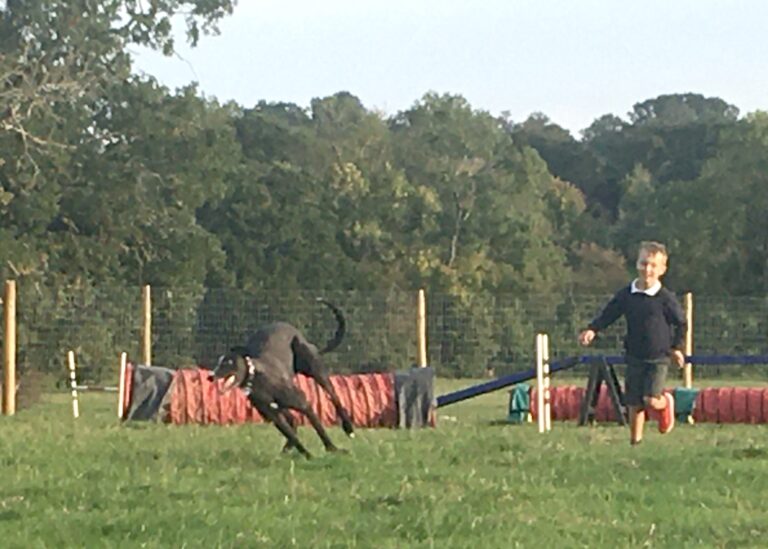 1737 222a9ec1bc36470a5aa421b8f6bdb4b4 1 768x549