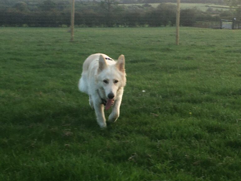 1737 d21cd92517ecaaf359d87151710434b5 1 768x576