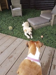 1738 93095e11751320ba52c1c716eecb21ba 1