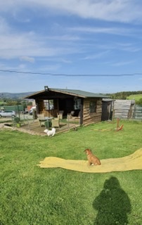 1738 ccde67a5ce1c593846a5eb06b6517b63 1